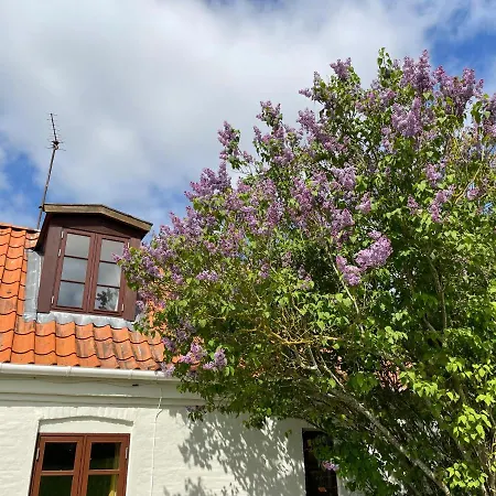 A True Nature Pearl In Idyllic Surroundings But Close To The City Holbæk Exterior photo