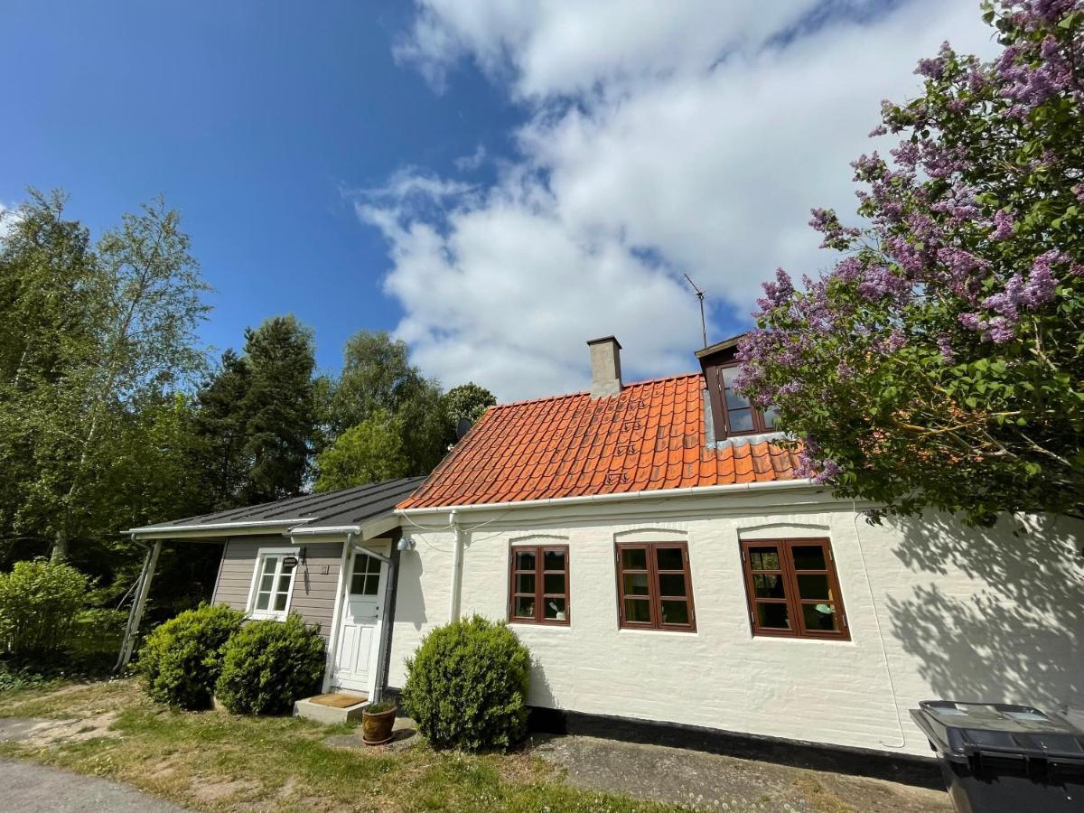 Villa A True Nature Pearl In Idyllic Surroundings But Close To The *