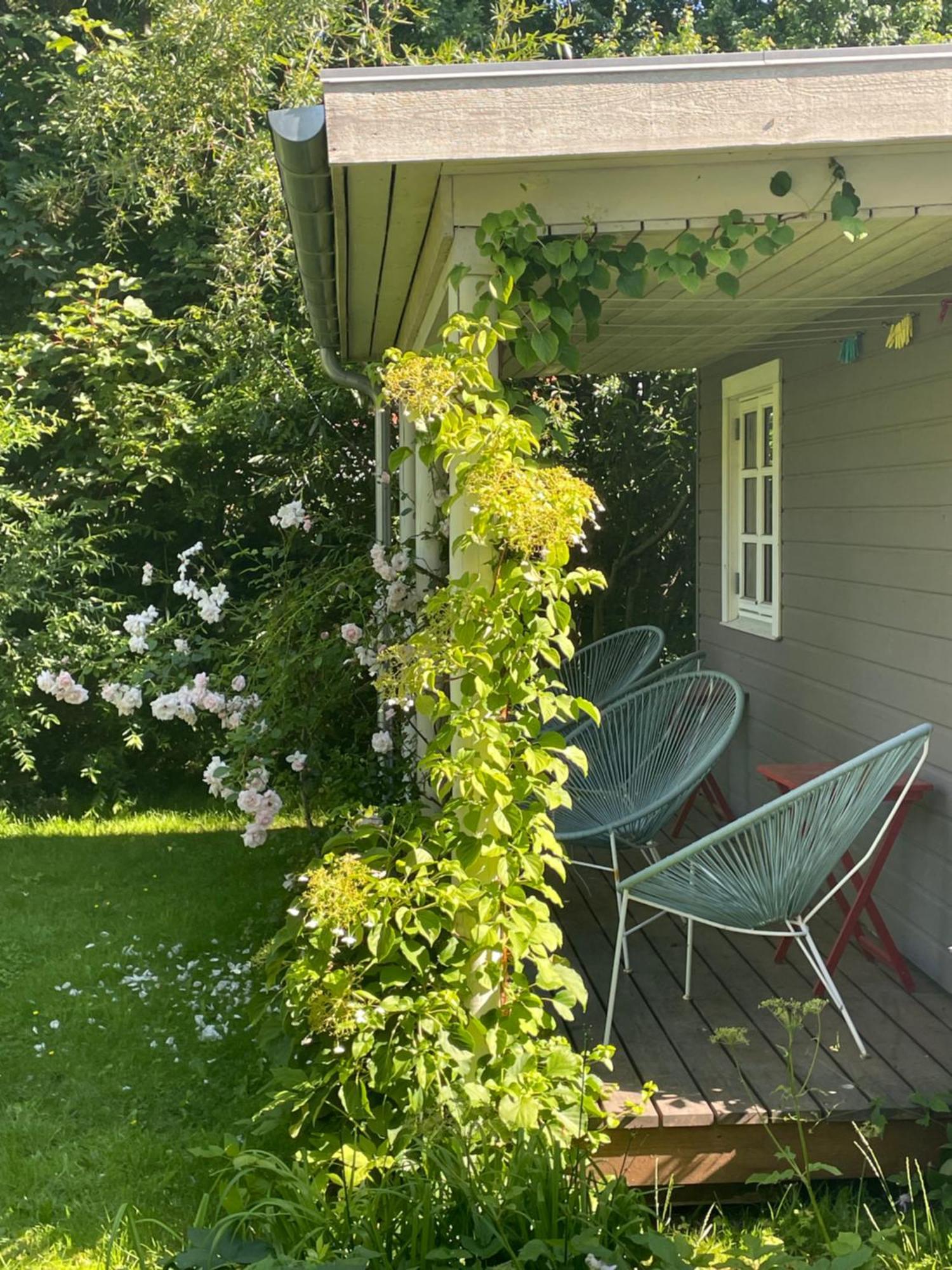 Villa A True Nature Pearl In Idyllic Surroundings But Close To The *